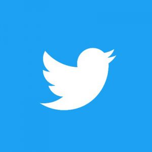 Twitter app logo