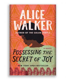 Possessing the Secret of Joy - Alice Walker